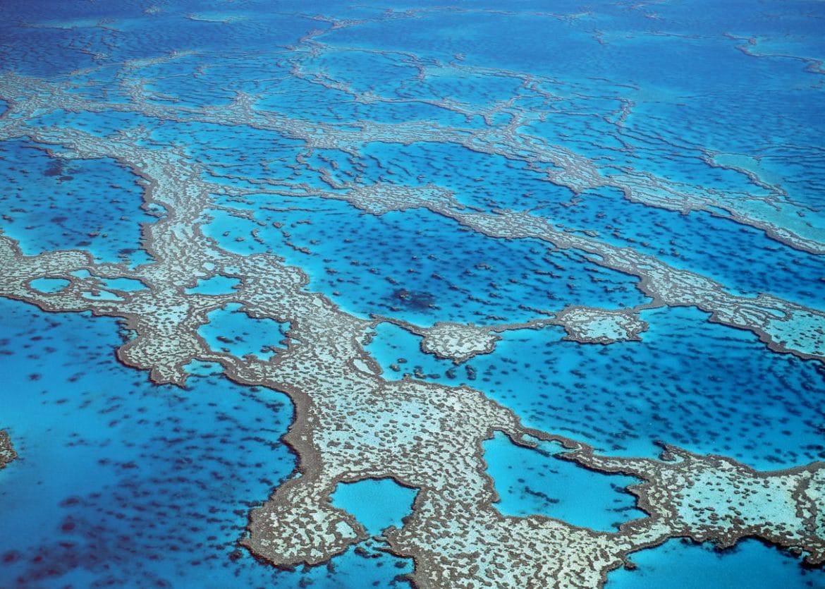 Great Barrier Reef, Australië